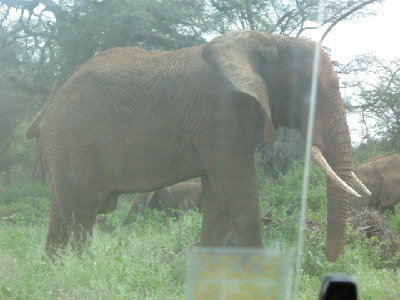 chris AFRICA 005.jpg