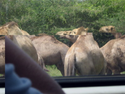 chris AFRICA 004.jpg