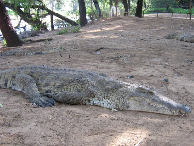 chris AFRICA 016.jpg