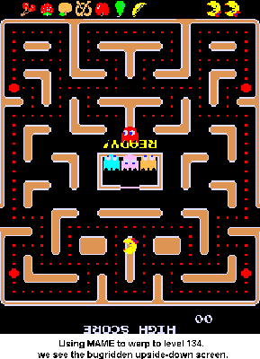 Ms_Pac-Man_Level_134[1].gif