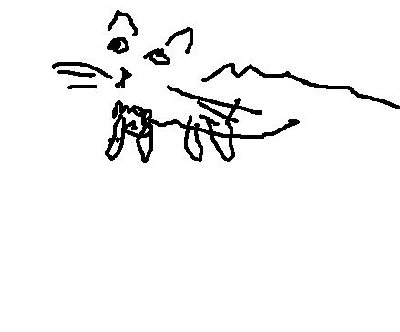 cat.jpg